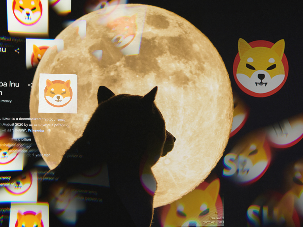 Shiba Inu Whale's Trading Volume Spikes 341% with Over 33,000 New SHIB Holders in May