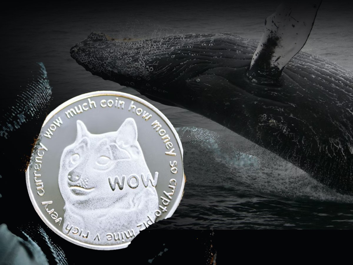 Dogecoin Faces Buying Pressure from Whales; Large Transactions Jump 68%