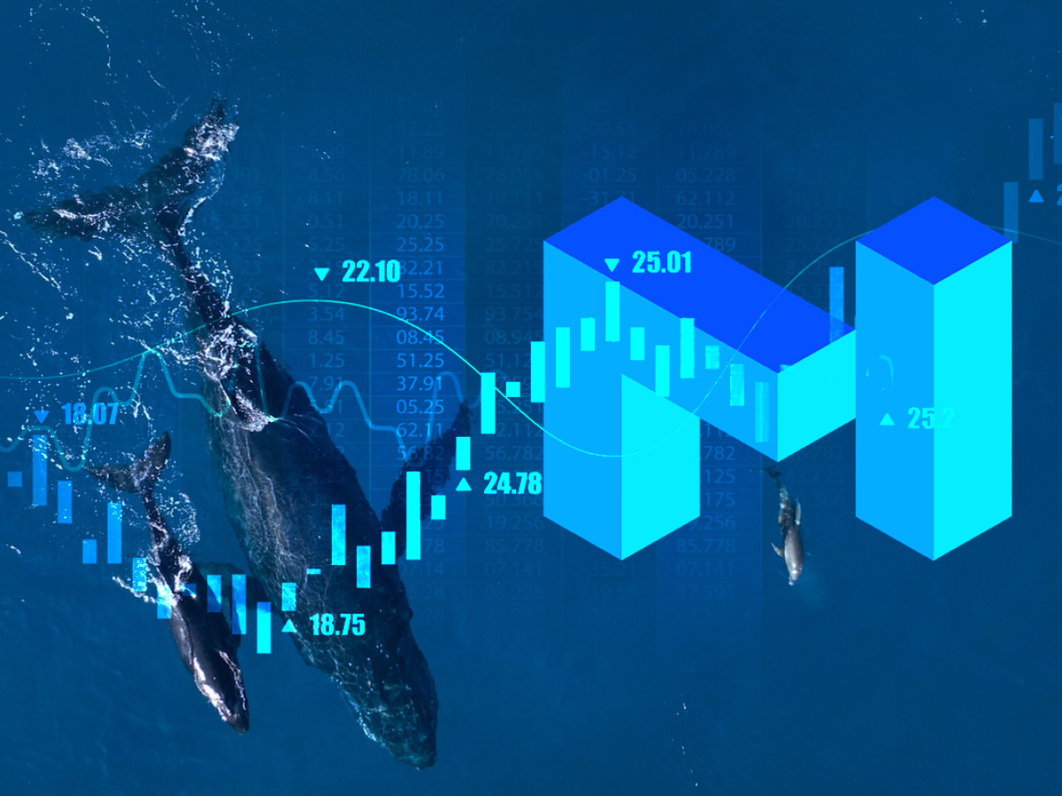 MATIC Climbs 23.19% as Whale Wallet Shows Sharp Growth of 8.7% in Last 6 Weeks
