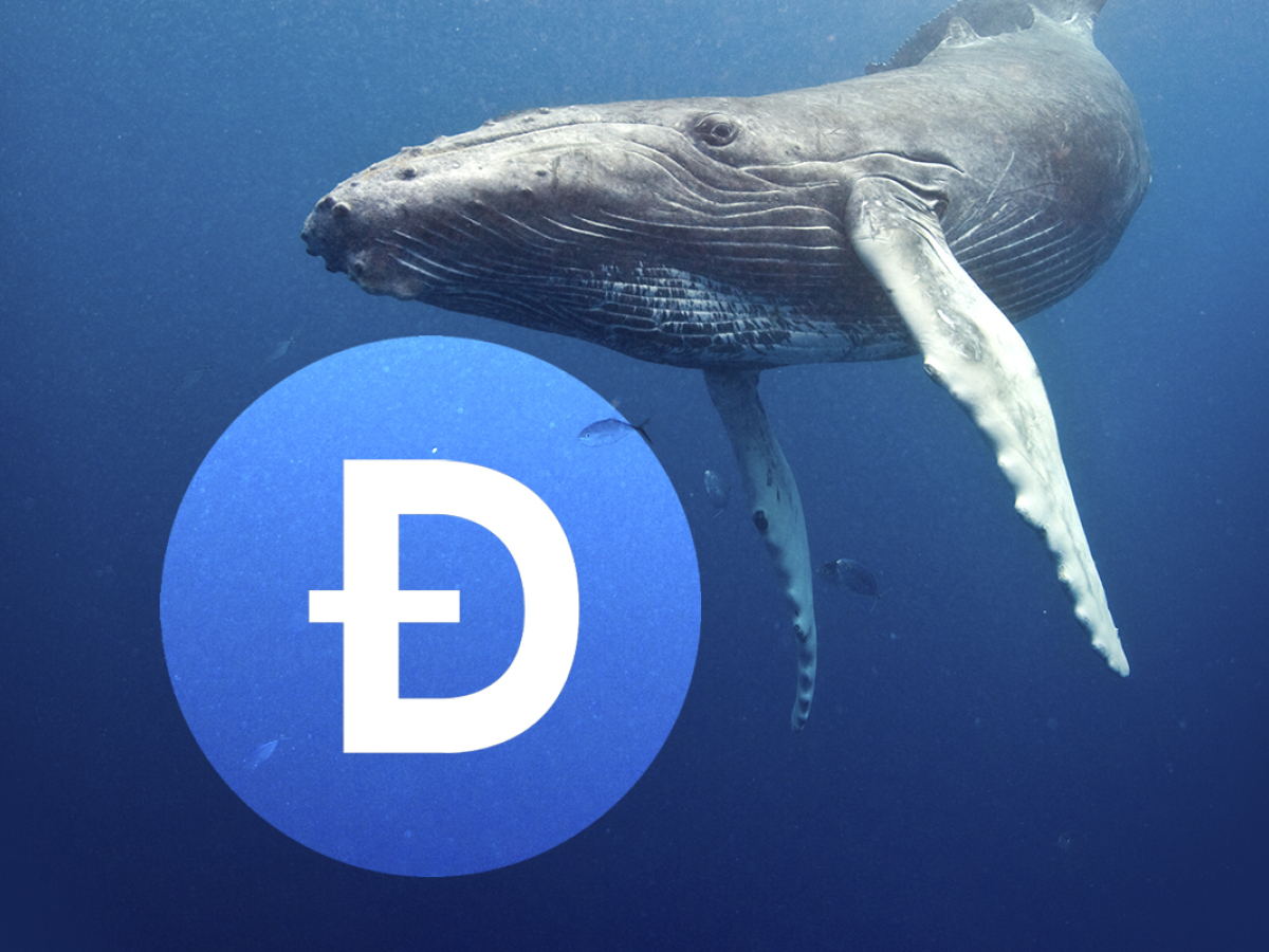 Dogecoin Whale Transactions Jump 45% as DOGE Sees Buying Pressure