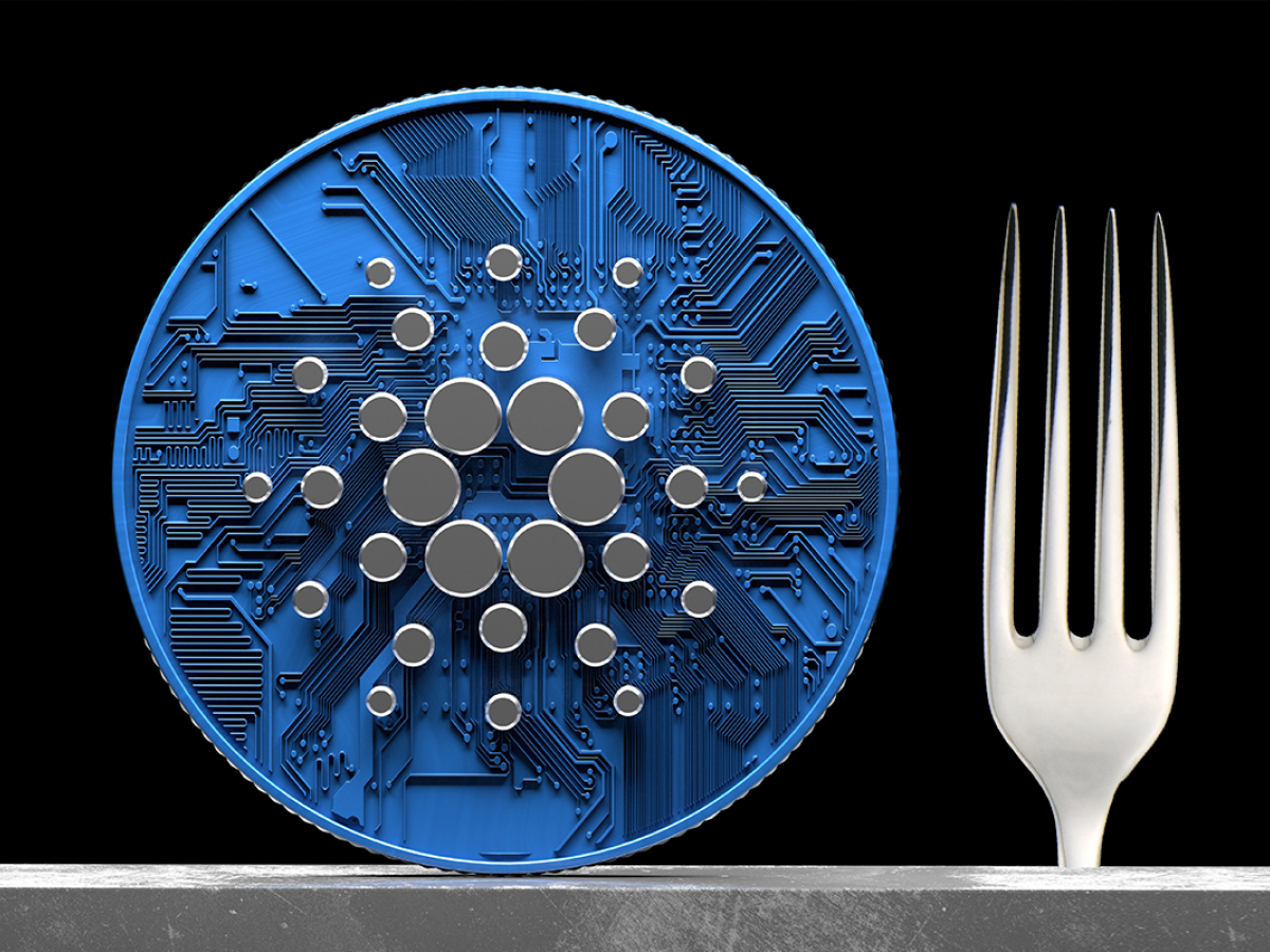 Crucial Decision on Testnet Hard Fork to Be Made Next Week