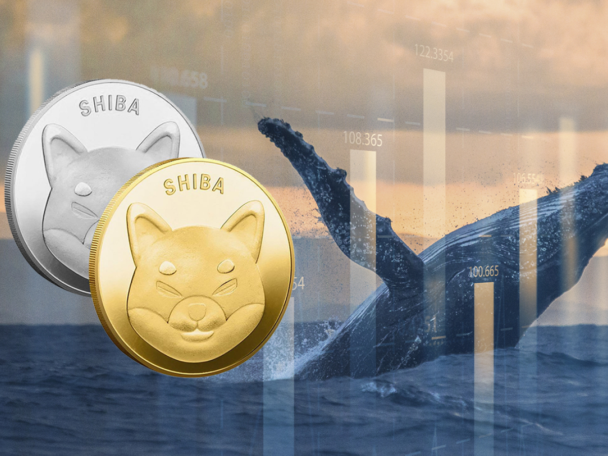 Shiba Inu Remains Largest Token Held by Whales as SHIB Price Rises 15%