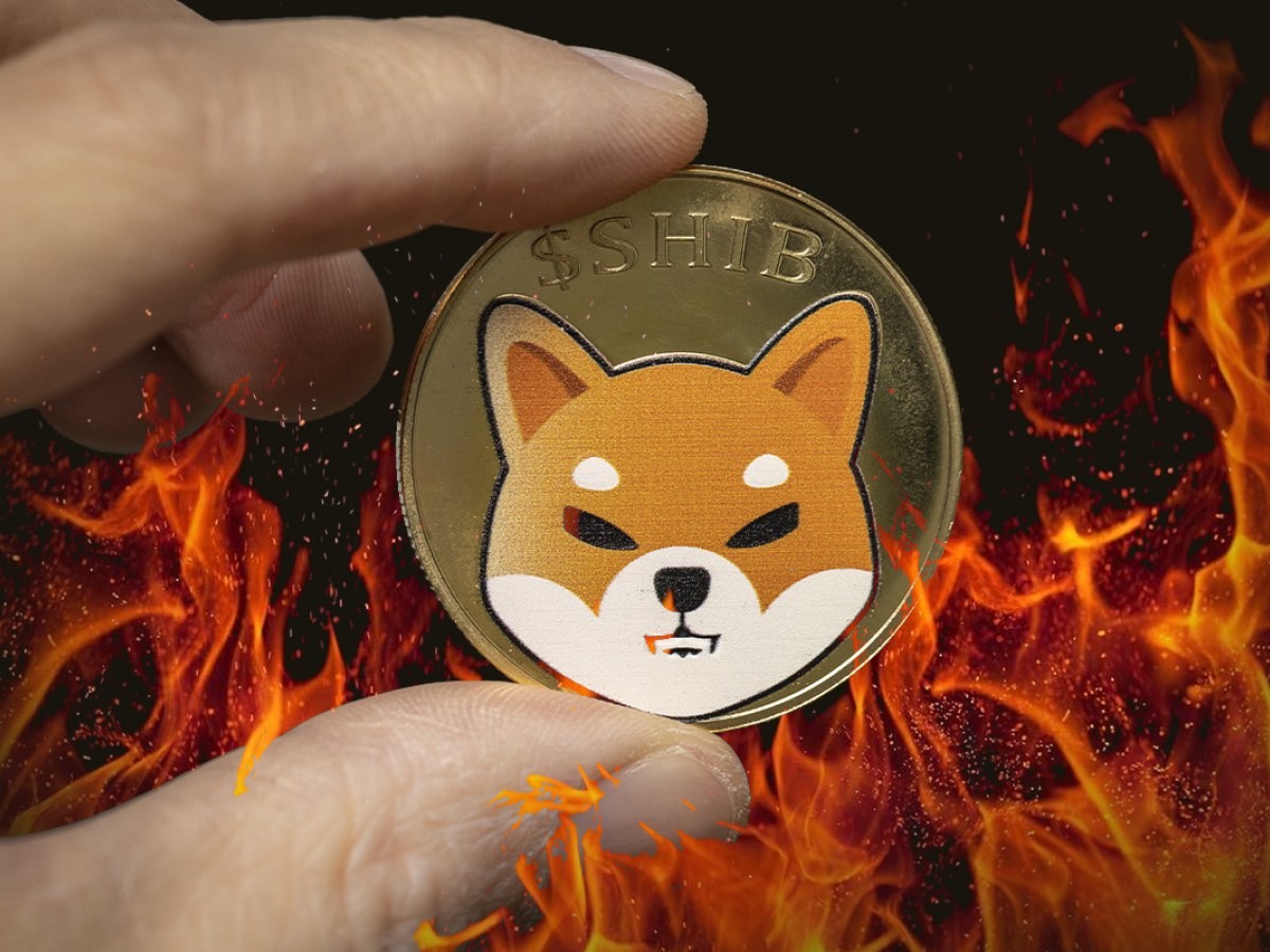 Shiba burning. Burn Shiba Inu.