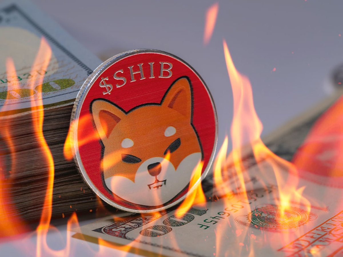 134 Million SHIB Burned, While Shiba Inu Holds as Largest Asset in USD