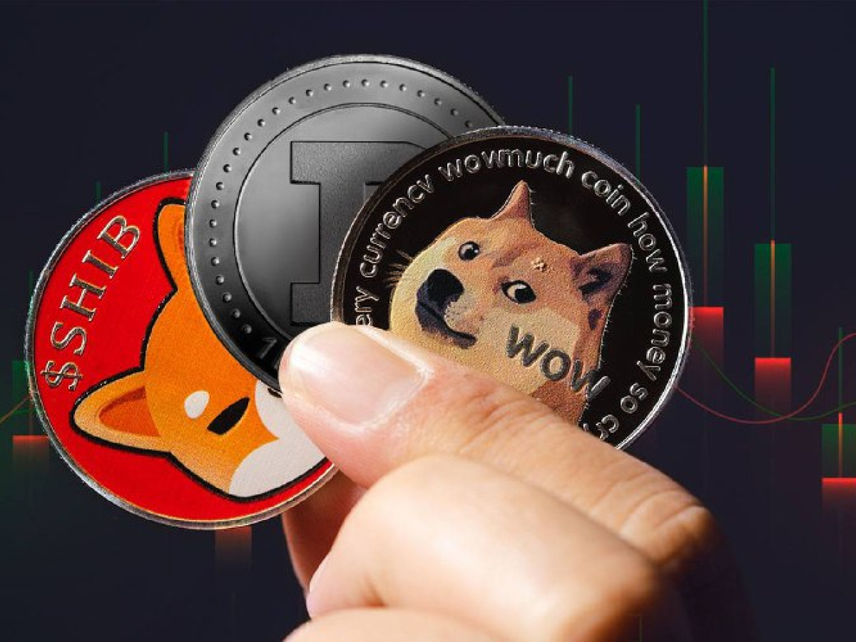 Shiba Inu and Dogecoin up 30% in Network Activity, With Number of Unique Addresses Constantly Rising 9 Shiba Inu and Dogecoin up 30% in Network Activity, With Number of Unique Addresses Constantly Rising