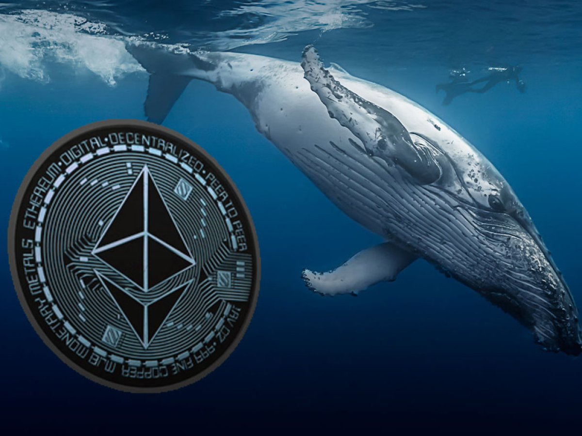 Ethereum’s 39% Price Decrease Is Accompanied by Large-Scale Whales’ Purchases
