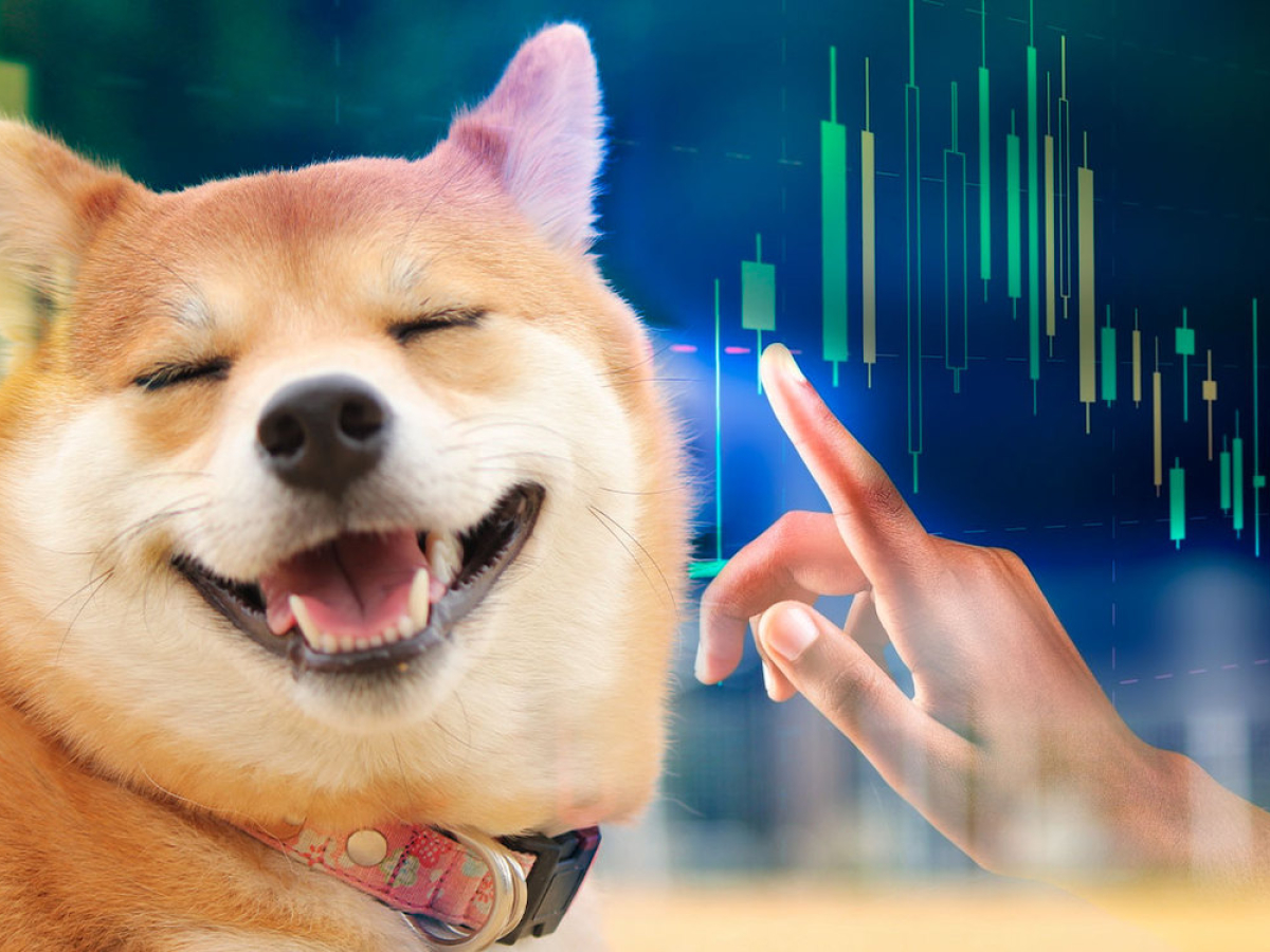 Shiba Inu’s Lead Dev Has Something to Say to SHIB Community; Price Consolidates at Support