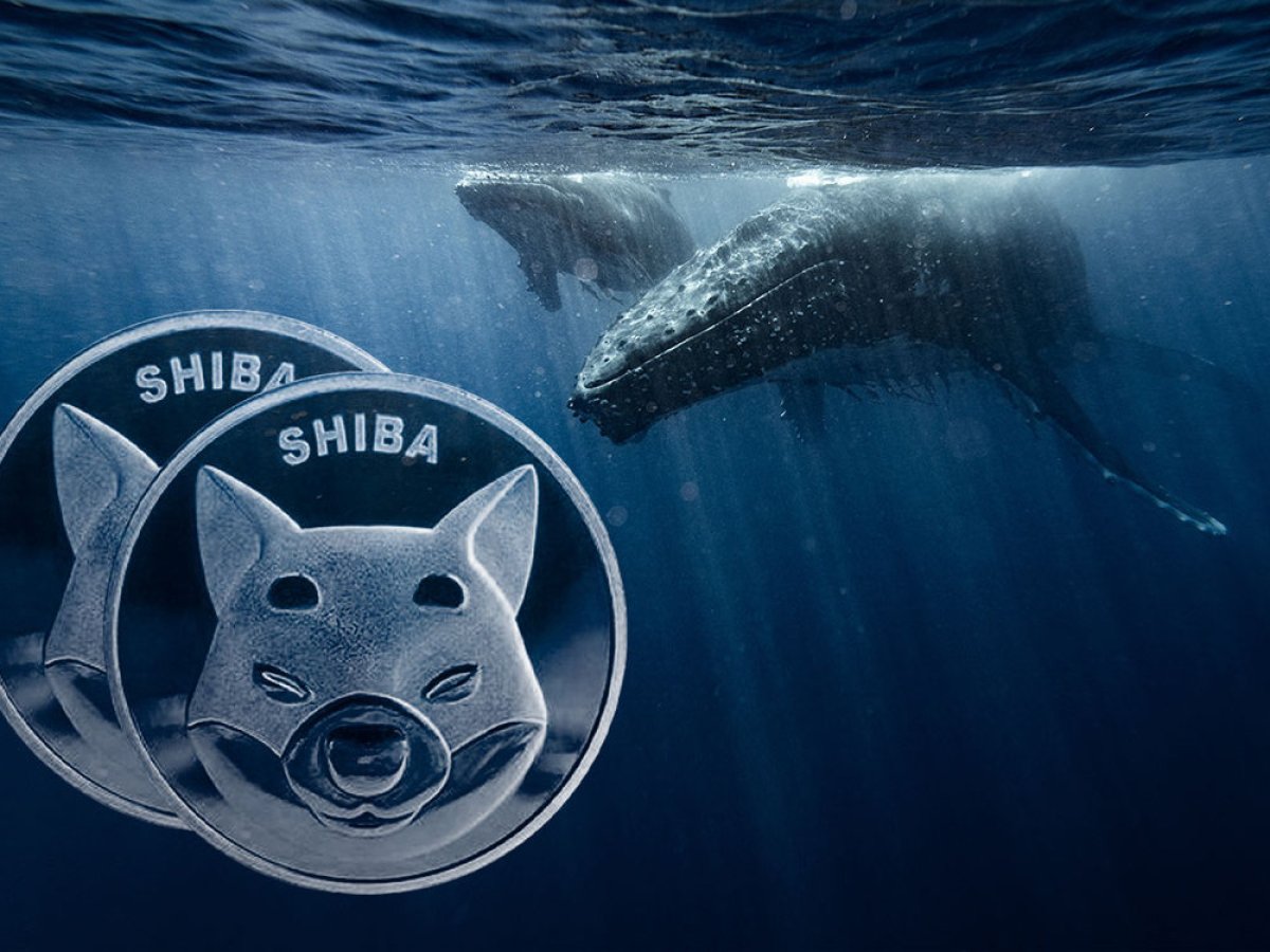 18.8 Million Dogecoin Bought by Whale with 40 Million XRP
