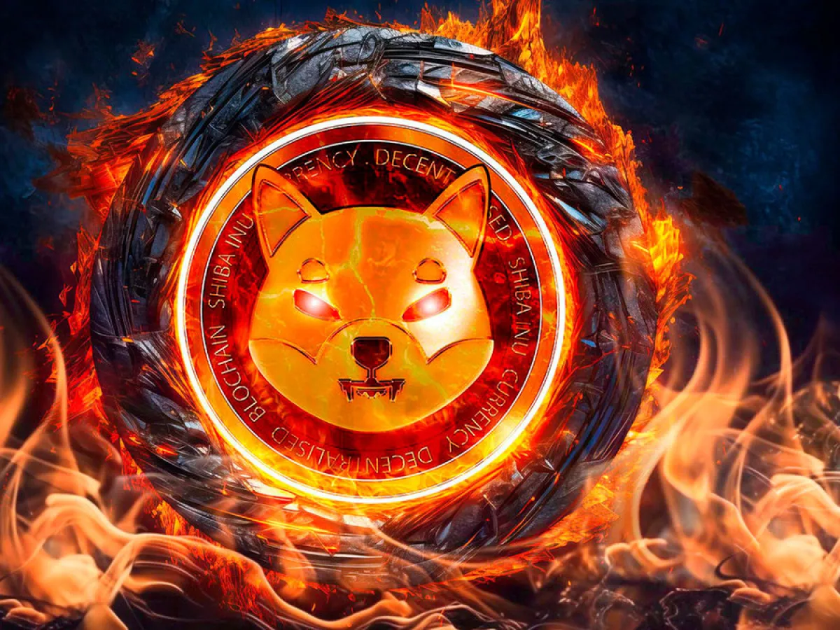 Shiba Inu Burn Rate Defies Price Drop With 219% Spike: Details | Headlines | News | CoinMarketCap