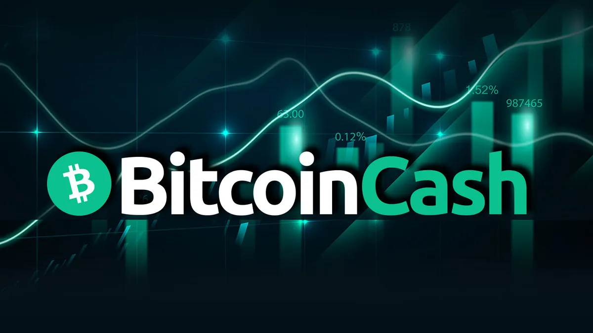 Mysterious $62 Million Bitcoin Cash (BCH) Transfer Sparks Speculation, Here's Why | Headlines | News | CoinMarketCap