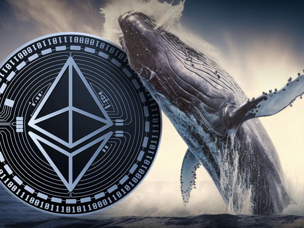 Another Dormant Ethereum Whale With Pre-Mined ETH Suddenly Wakes Up | Headlines | News | CoinMarketCap