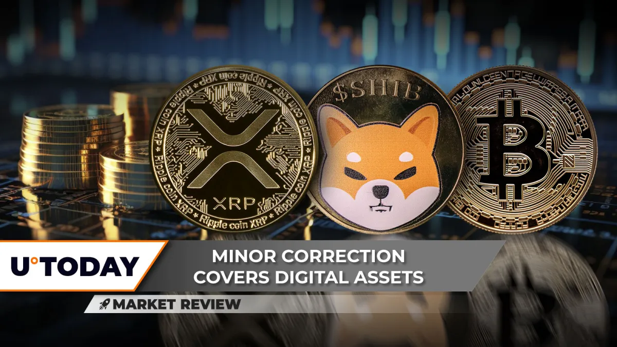XRP Back to Bottom? Shiba Inu (SHIB) Rally Stops, But There's Still Hope, Did Bitcoin (BTC) Reach New Top? | Headlines | News | CoinMarketCap