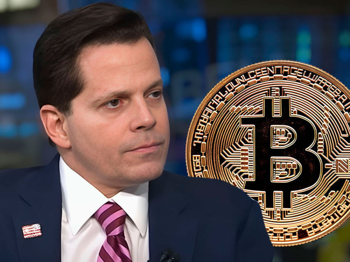 Anthony Scaramucci on Bitcoin: 'Best-Performing Asset in World'