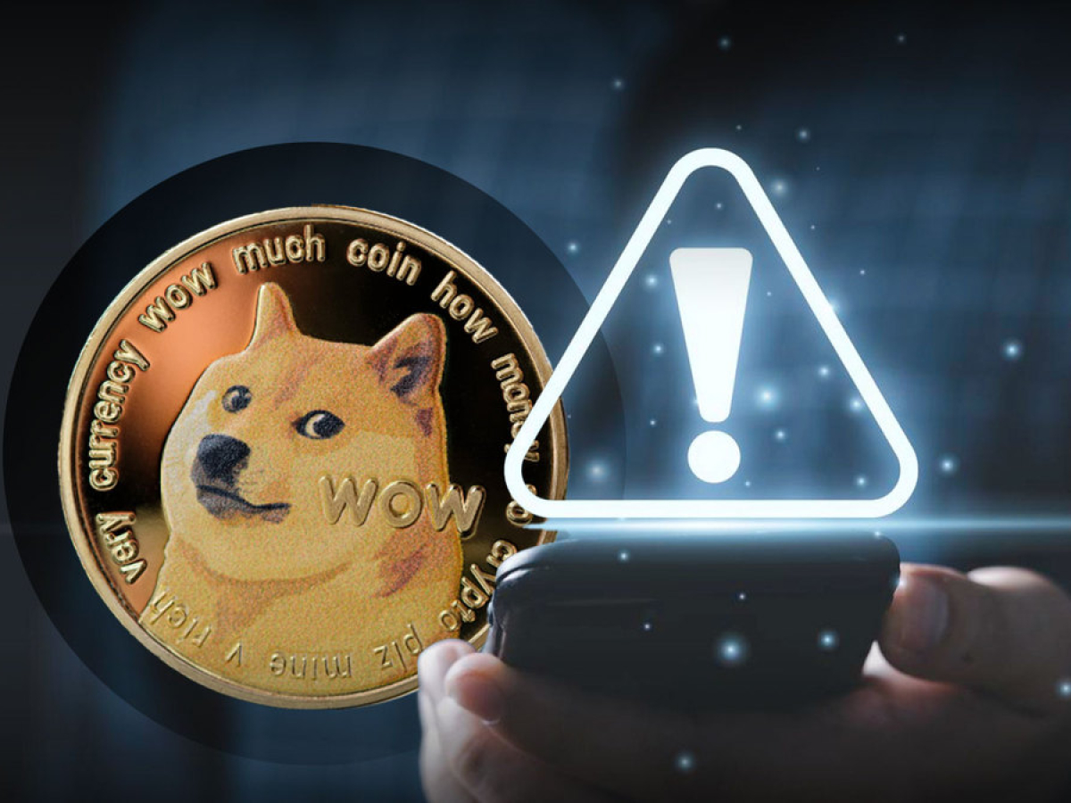 Dogecoin Community Member Issues Vital Warning, What's Happening?