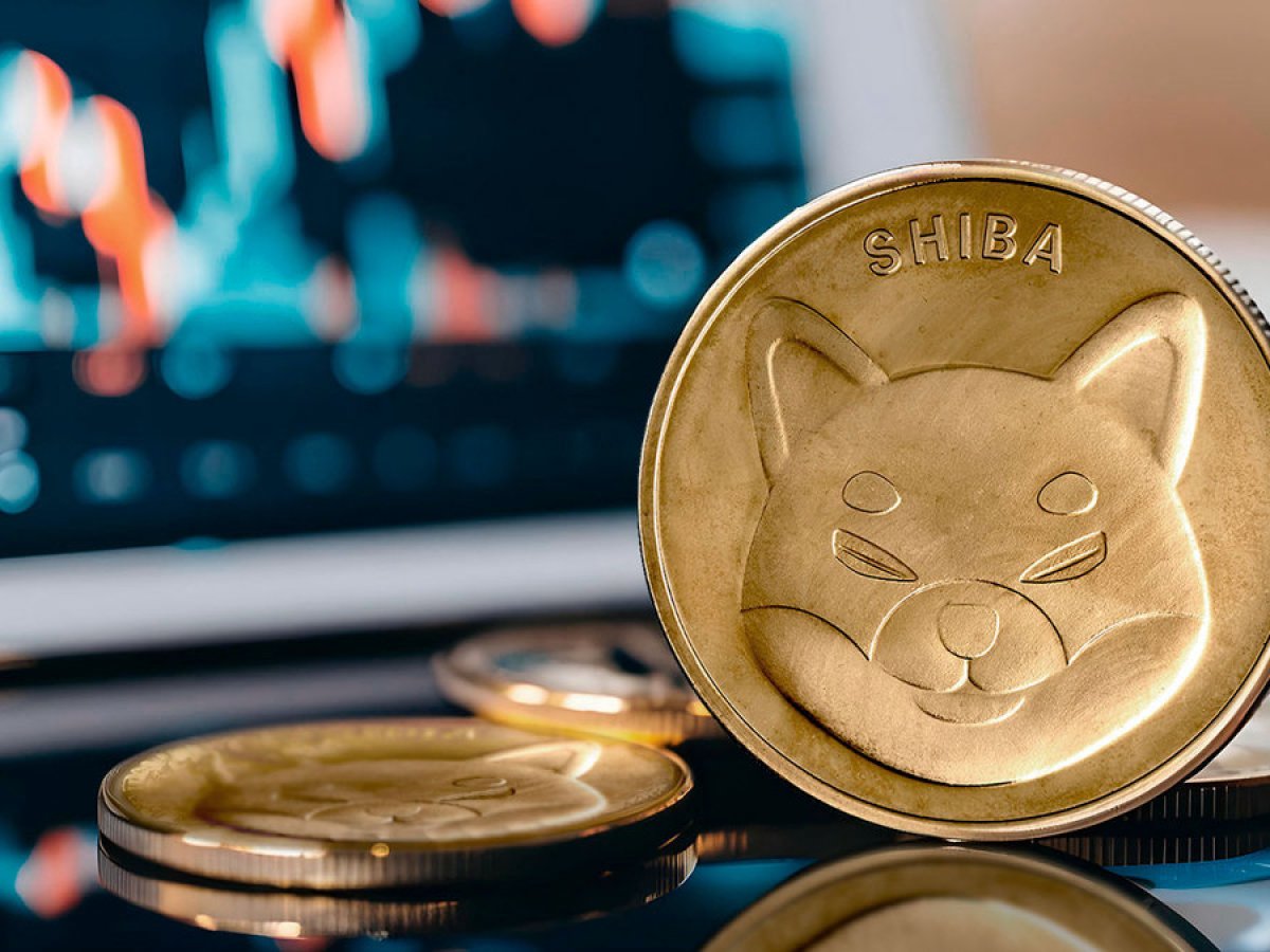 Shiba Inu (SHIB) Surges 3,015% in NetFlow Spike, but There's Catch