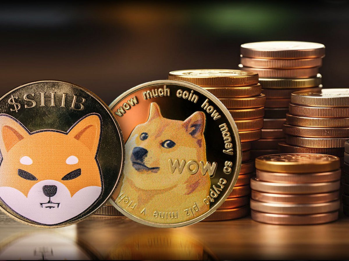 Beyond SHIB, DOGE: Meme Coin Recovery Brings Unexpected Result
