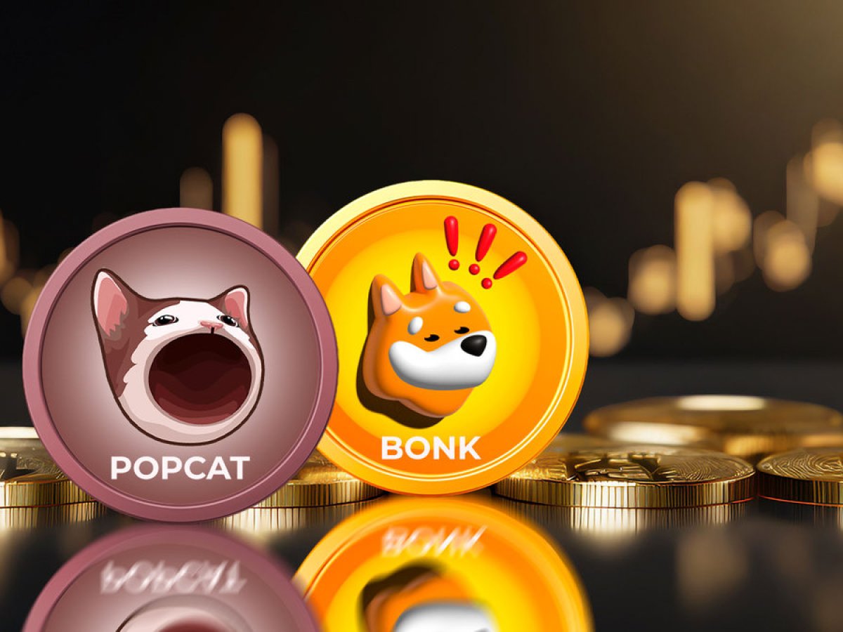 Meme Coins POPCAT, BONK on Fire With Double-Digit Gains Overnight