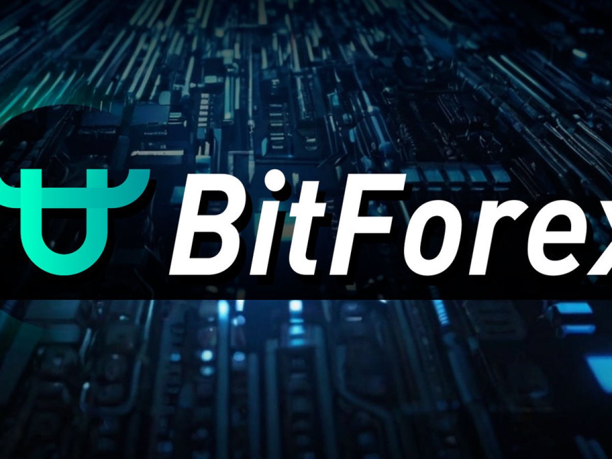 BitForex Team Finally Breaks Silence After Five Months of Shutdown: What's Next?