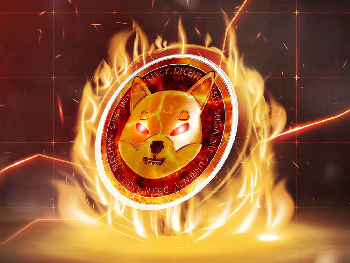 SHIB Burns Skyrocket 545% As Two Anon Whales Scorch Millions of Coins