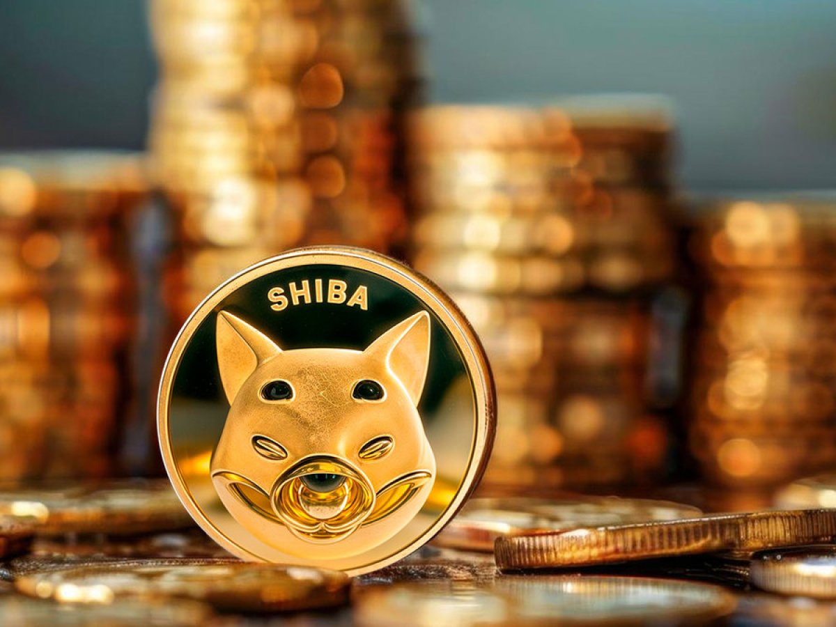 SHIB Team Says: Altcoin Season Coming
