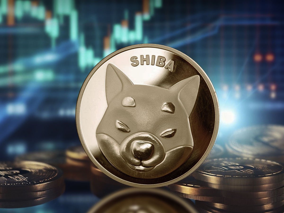 Shiba Inu Skyrockets 37% in Volume, Will SHIB Price Rebound?
