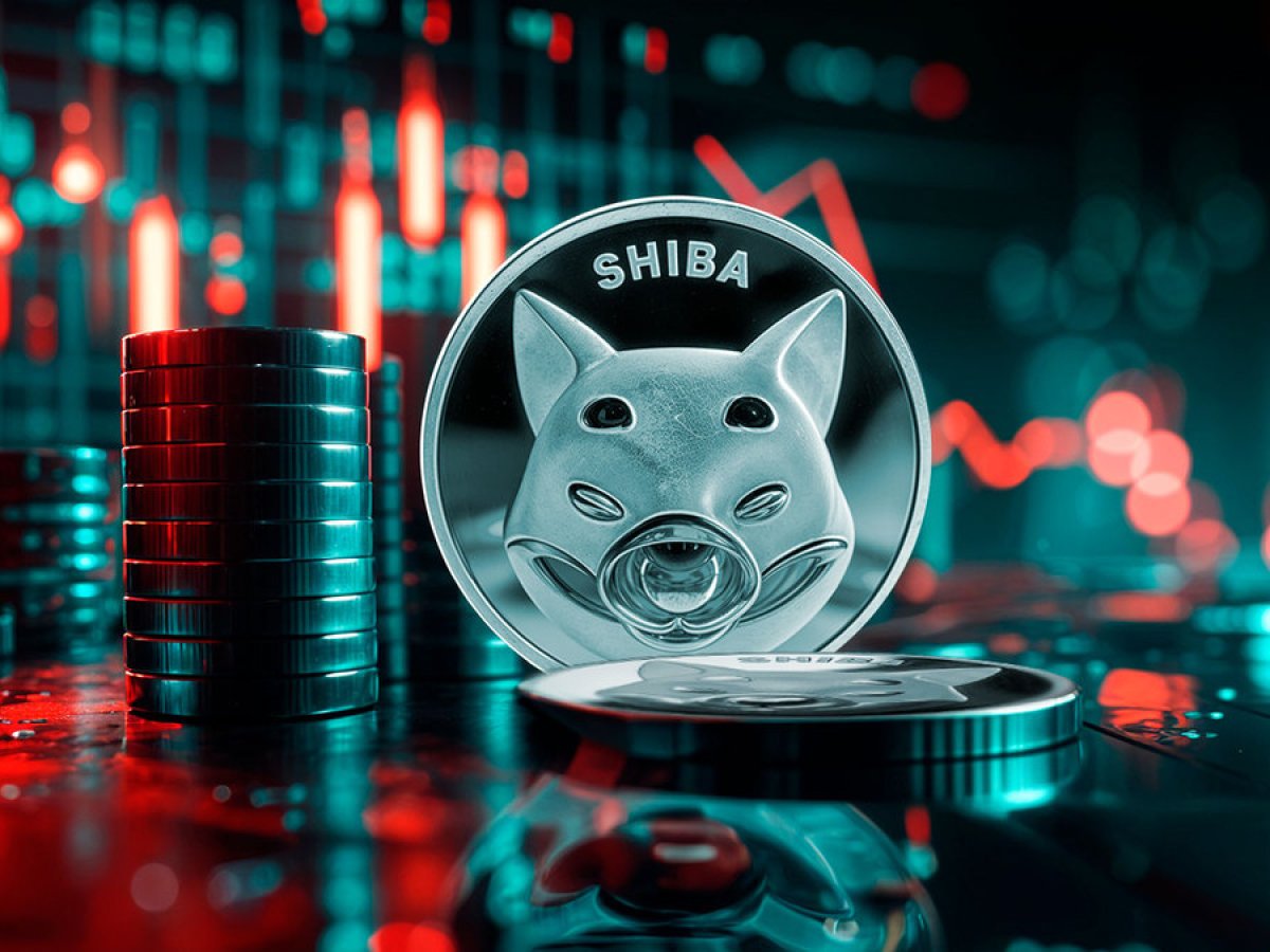 Key SHIB Metric Collapses Despite 5% SHIB Price Recovery