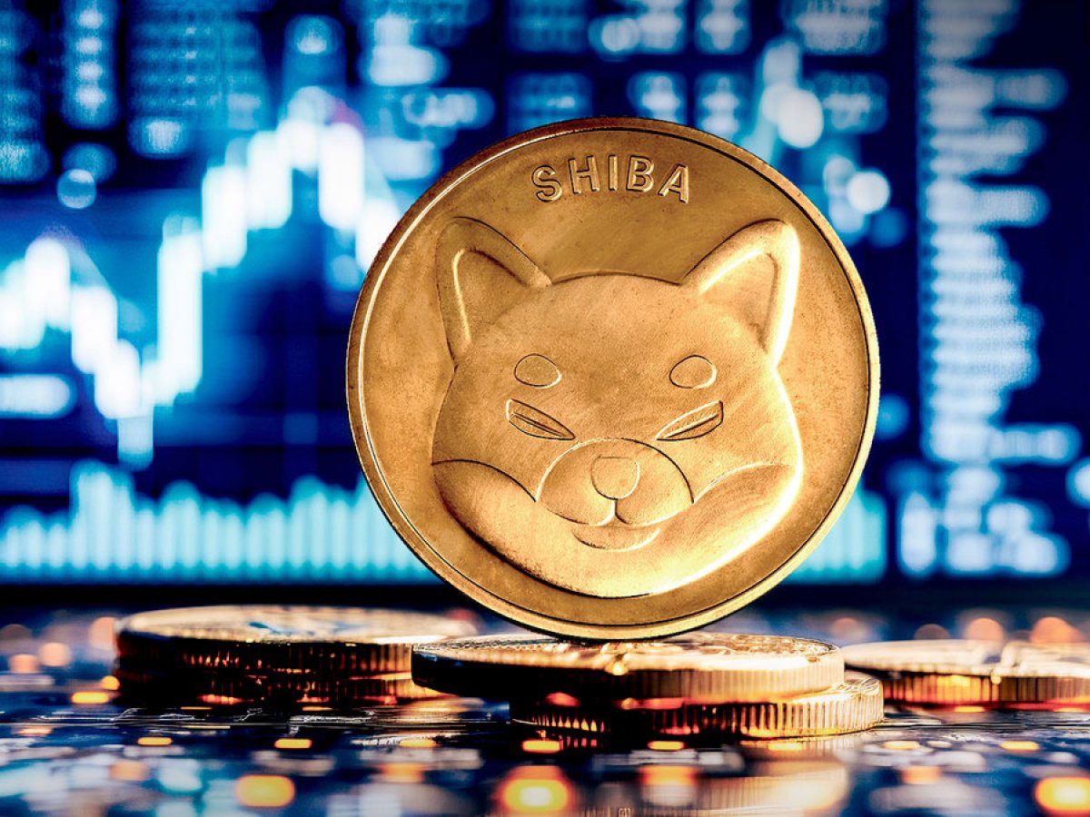 Lucky 7.77% Increase on Shiba Inu (SHIB) More Important Than You Think