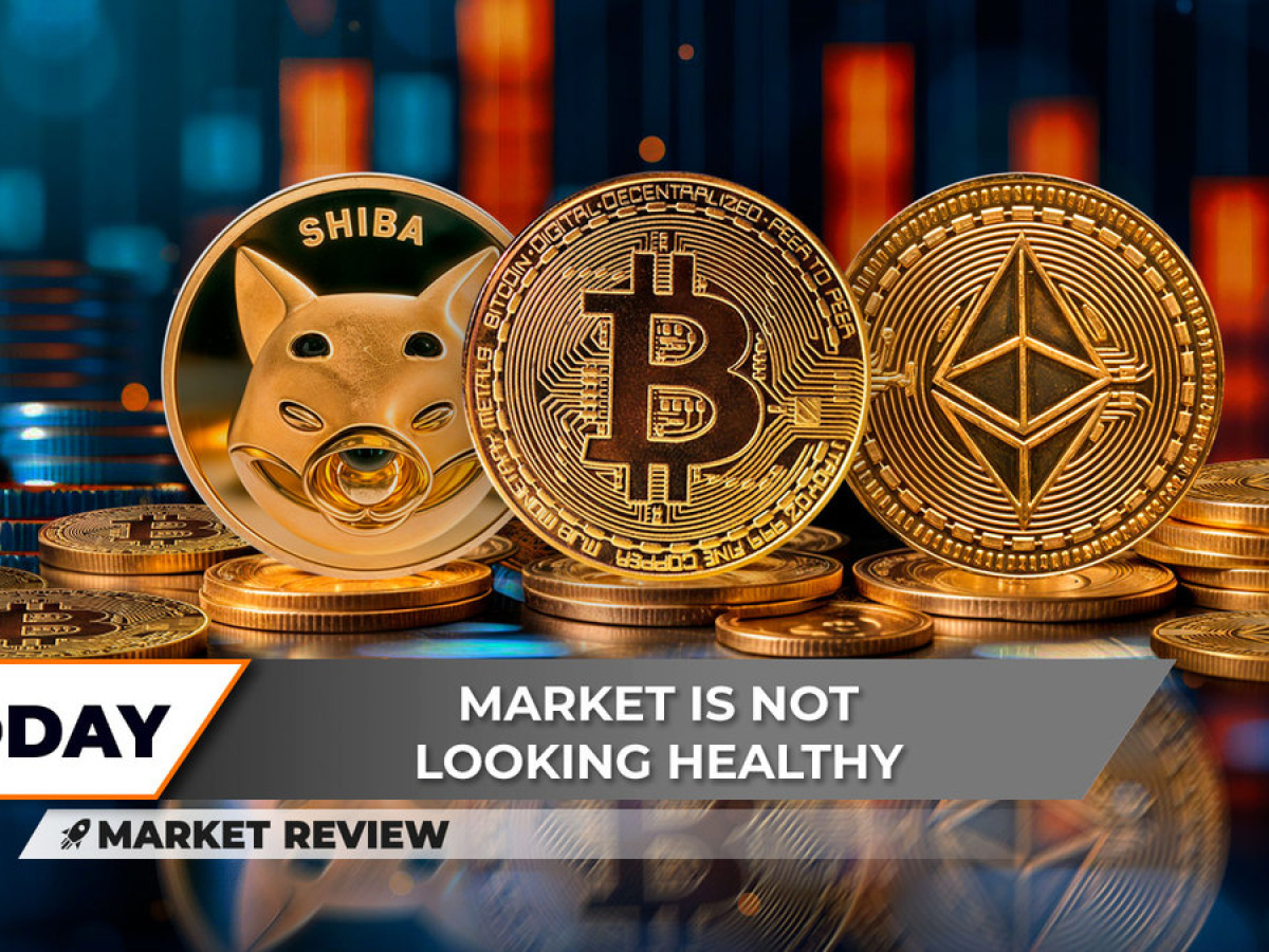 Shiba Inu (SHIB): What's Happening? Is This Bitcoin (BTC) Resistance Unbreakable? Ethereum (ETH) On Verge of Fundamental Crisis?