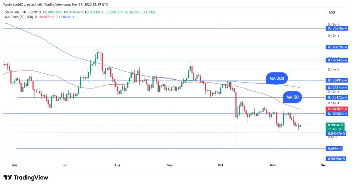 Extreme Fear Returns: Can Shiba Inu Hold Line at $0.000009? - U.Today