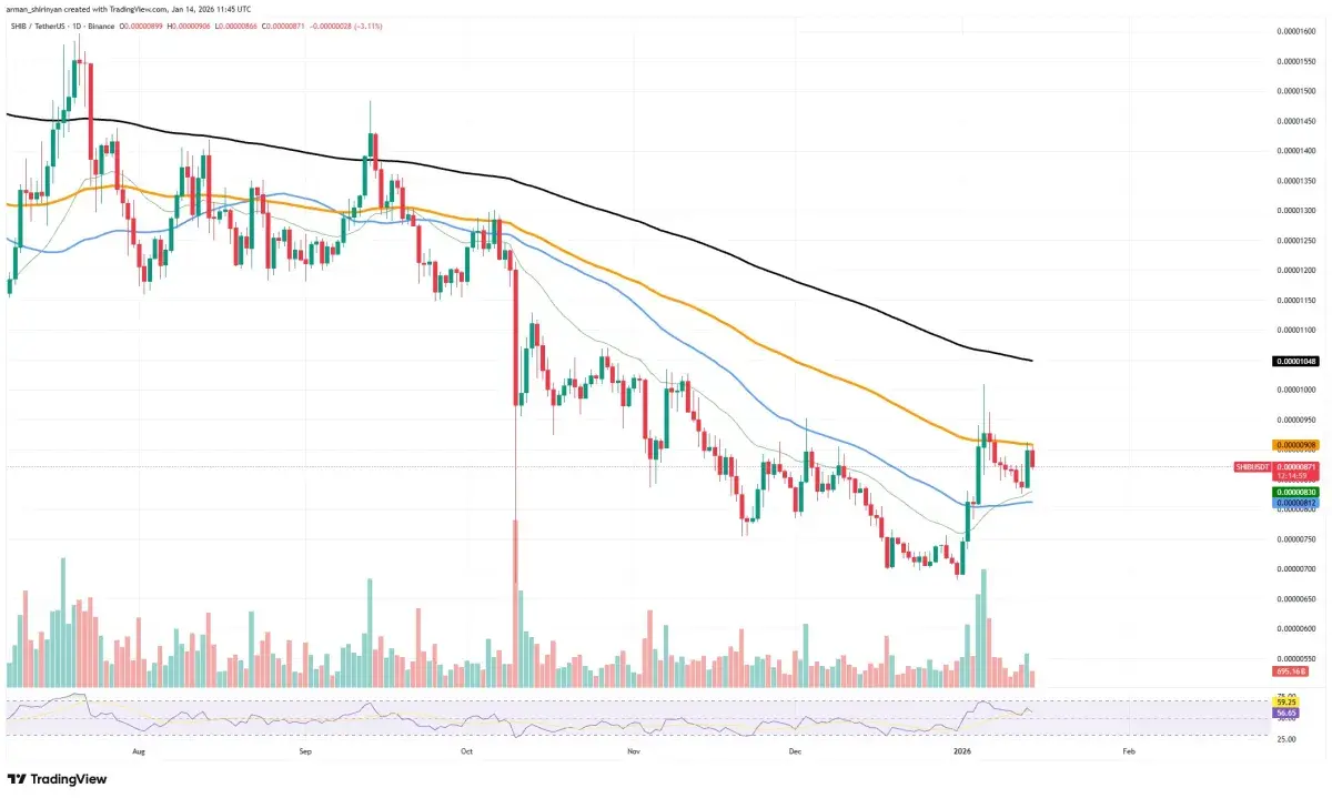 Mind-Blowing 652,000,000,000 Shiba Inu (SHIB) in 24 Hours: What Was That? -  U.Today