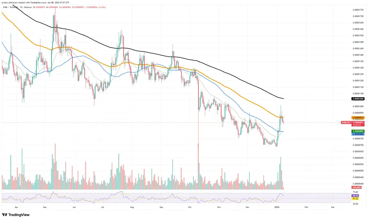 Shiba Inu (SHIB) Already Back in 2025 - U.Today