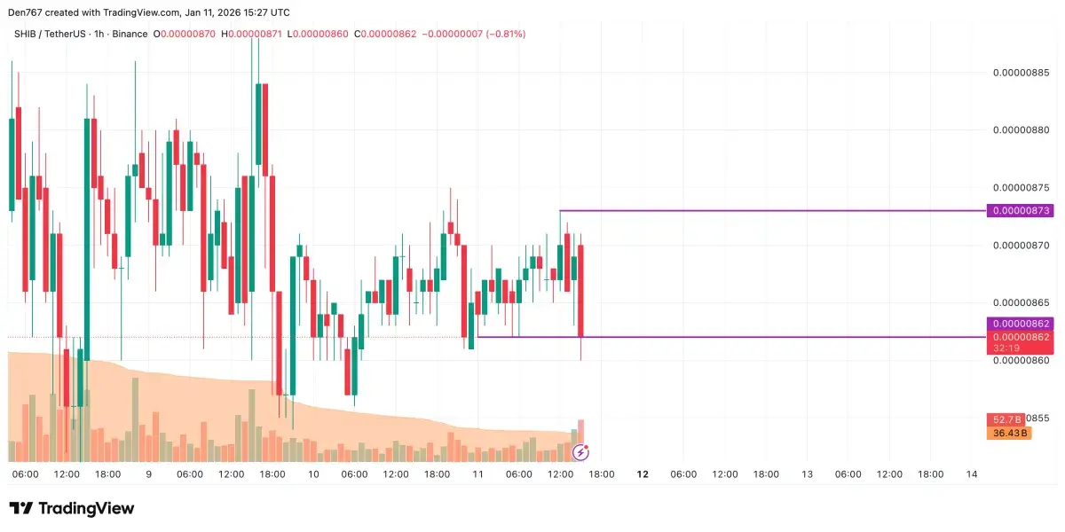 SHIB Price Analysis for January 11 - U.Today
