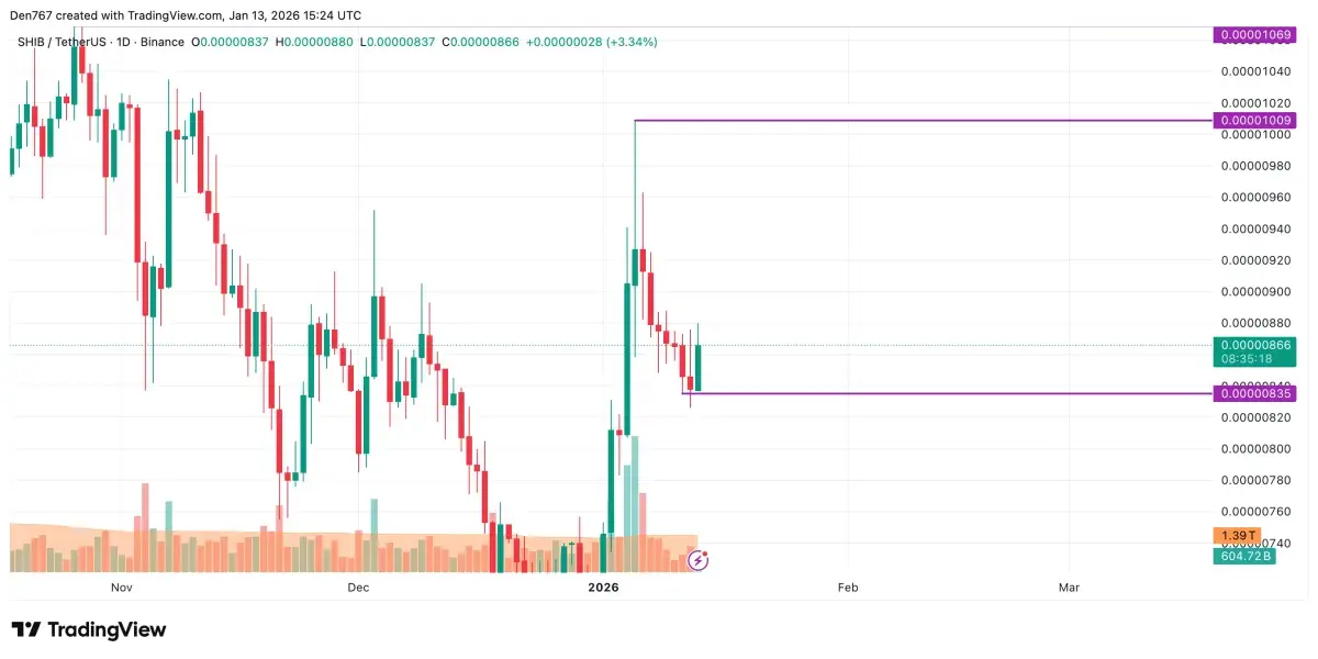 SHIB Price Analysis for January 13 - U.Today