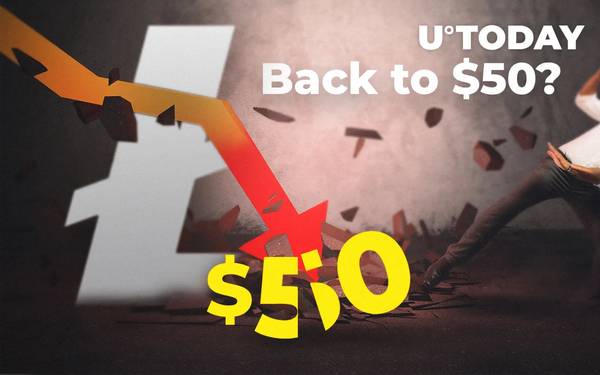 Will Litecoin’s Price Go Back to $50? Signs of Recession vs Bullish Signals – What to Believe?