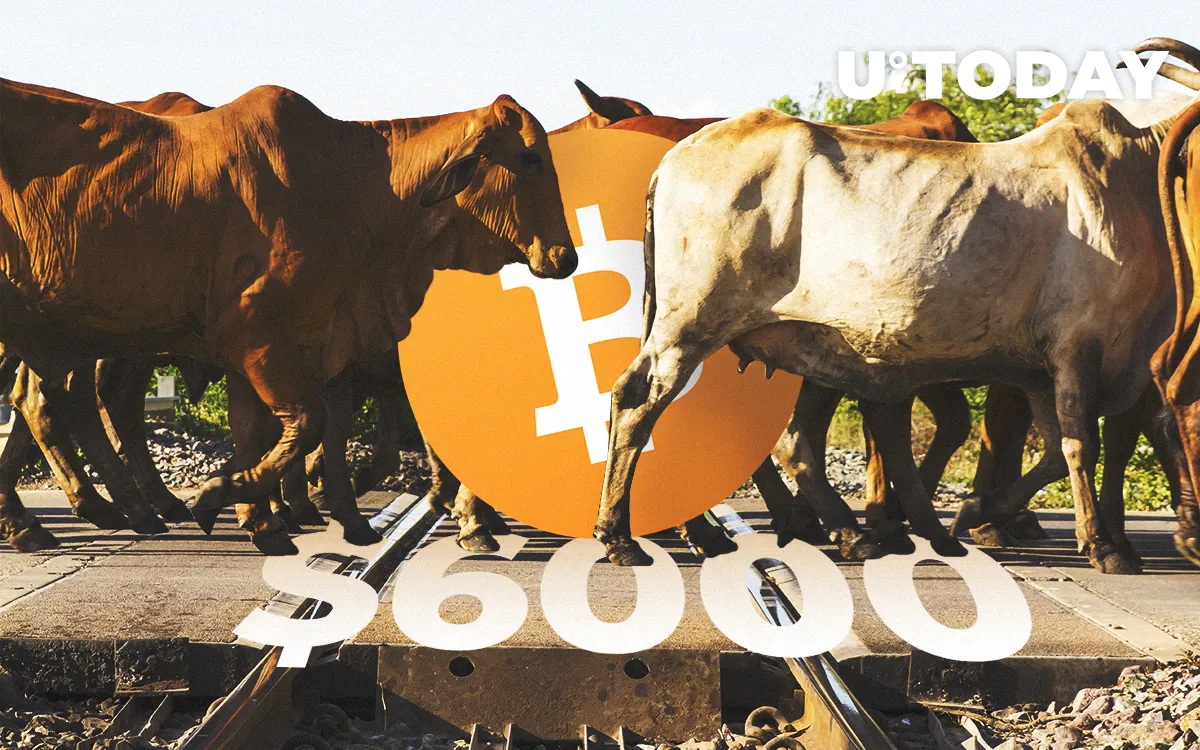 BTC/USD Price Prediction — Bulls Have Passed the $6,000 Obstacle and Going Up