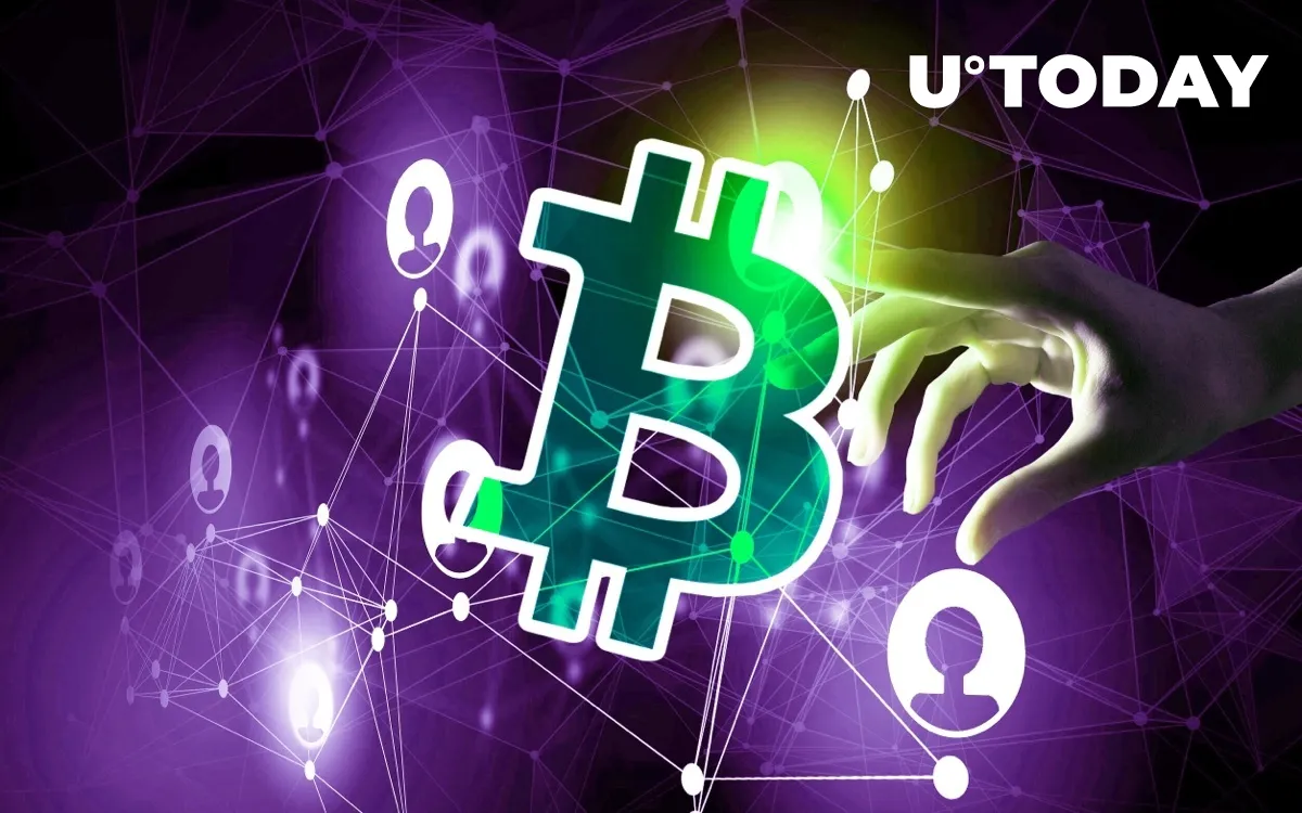 Shady Bitcoin Cash Address Raises Questions About the Network’s Real Activity