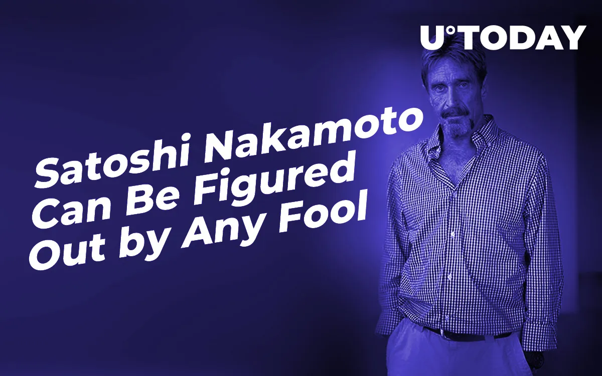 Satoshi Nakamoto Can Be Figured Out by Any Fool, Says IRS-Chased John McAfee
