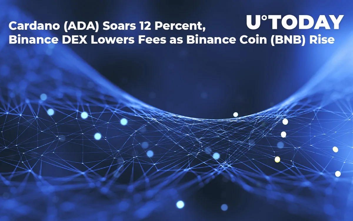 Cardano (ADA) Soars 12 Percent, Binance DEX Lowers Fees as Binance Coin (BNB) Rises