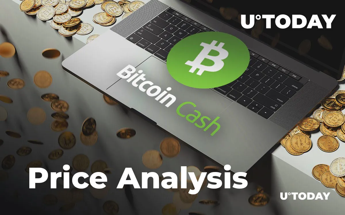 Bitcoin Cash Price Analysis — How Much Might BCH Cost in 2019, 2020, and 2025?