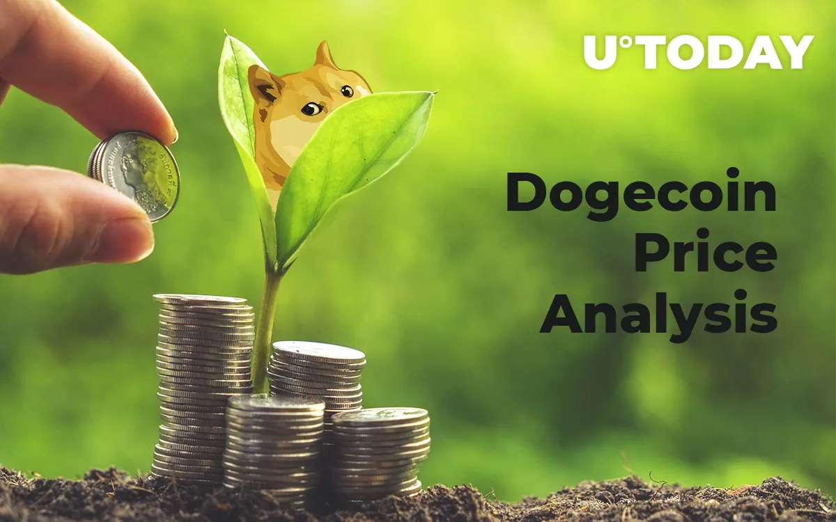 Dogecoin Price Analysis 2019 — Is Long-Term Growth Possible?