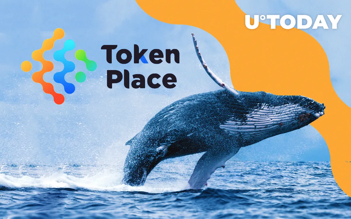 A Turn to the Little Guy in the Age of Whales: The Tokenplace Vision for Cross-Coin Architecture