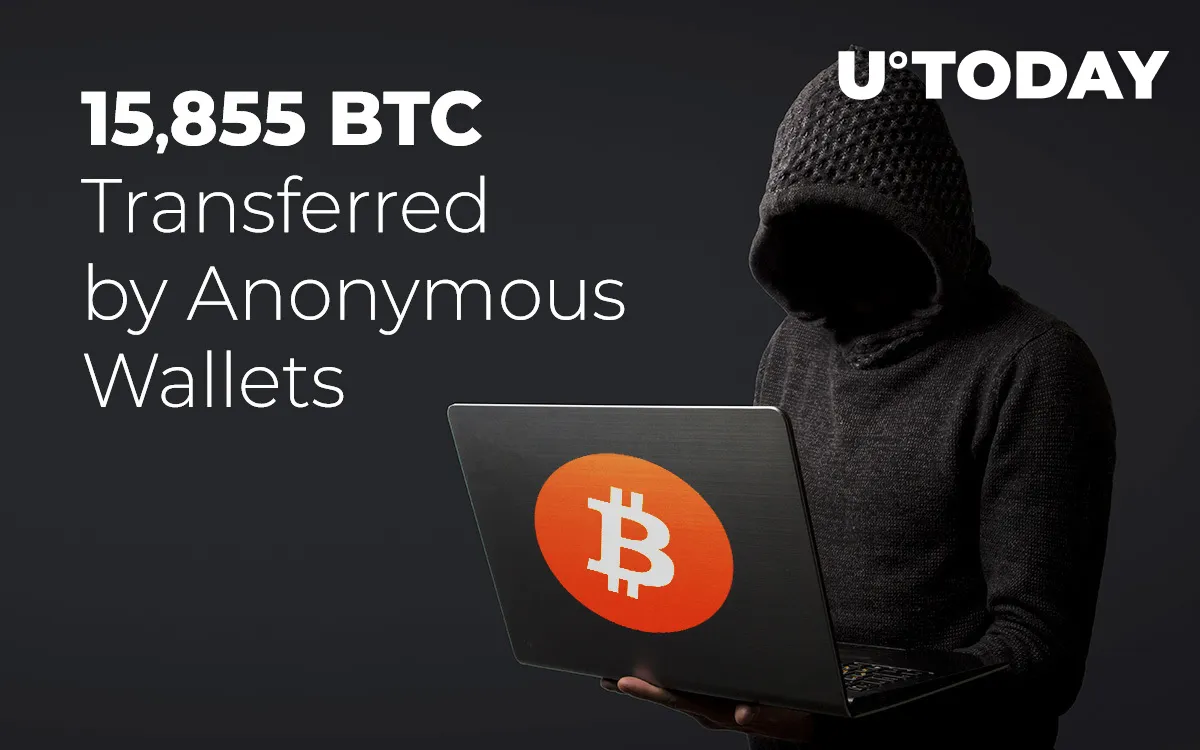 15,855 Bitcoins Transferred by Anonymous Wallets – Are Whales Accumulating?