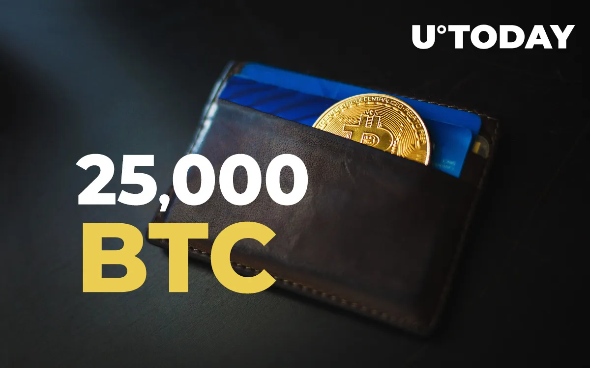 25,000 BTC Transferred for Tiny Fees Banks Cannot Provide