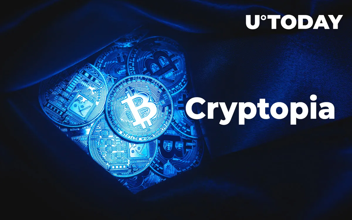 Crypto Stolen in Cryptopia Hack to Go Back to Holders, Judge States