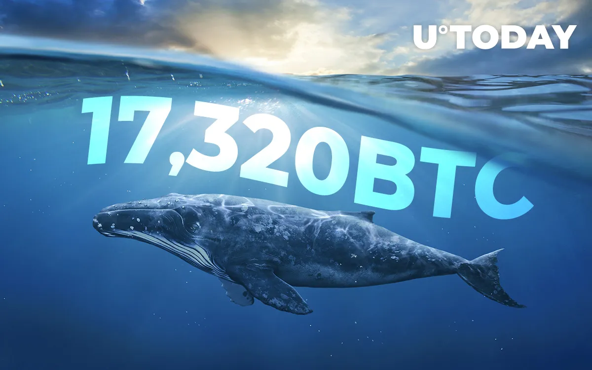 17,320 BTC Moved from Top Exchanges to Anon Wallets – Are Whales Waiting for Leap Over $10,000?