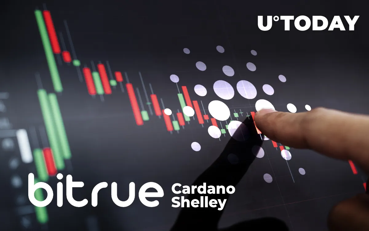 Bitrue Is First Exchange to Support Cardano’s Shelley Hard Fork