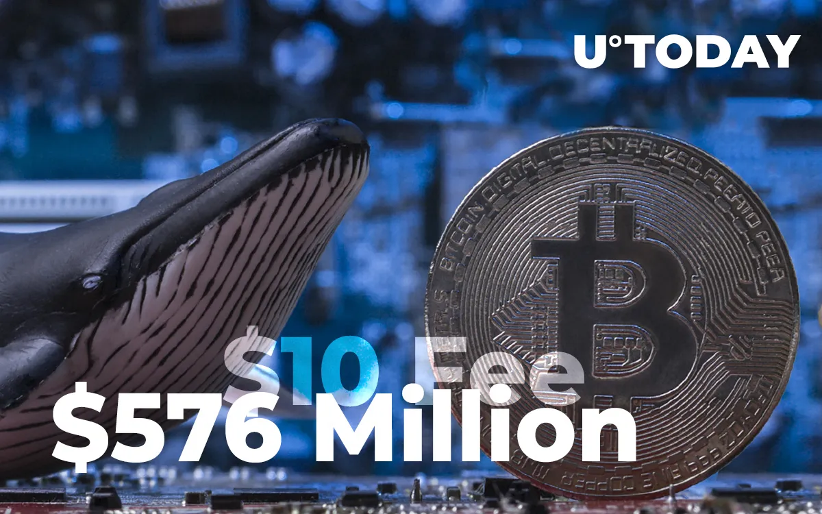 Crypto Whale Shifts $576 Million in Bitcoin for Just $10 Fee