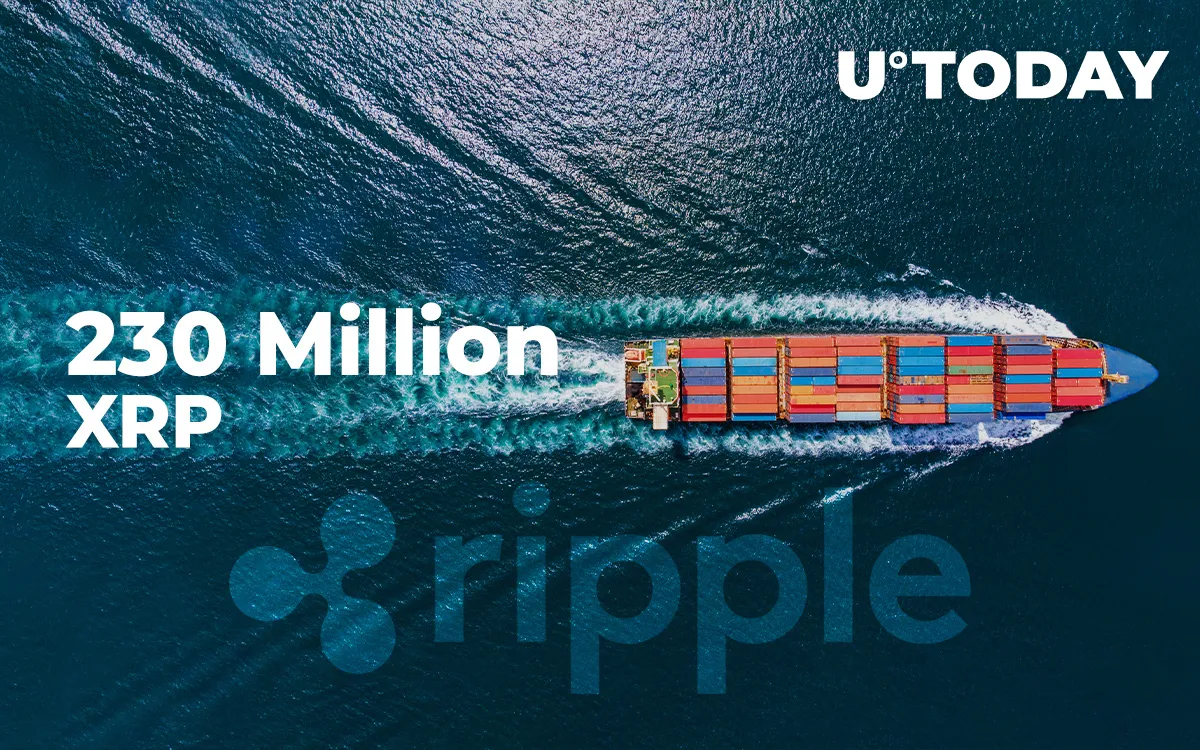 230 Million XRP Shifted by Whales, While Ripple-Friendly Azimo Launches New Remittance Service