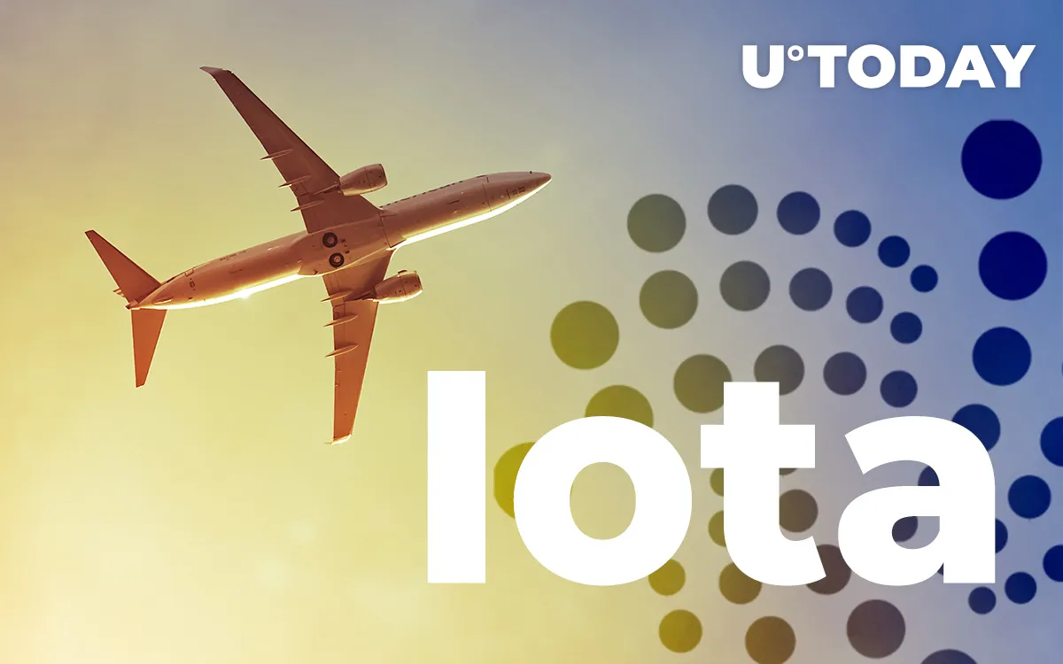 Iota (MIOTA) Spikes 50 Percent Overnight: Reasons Behind the Pump