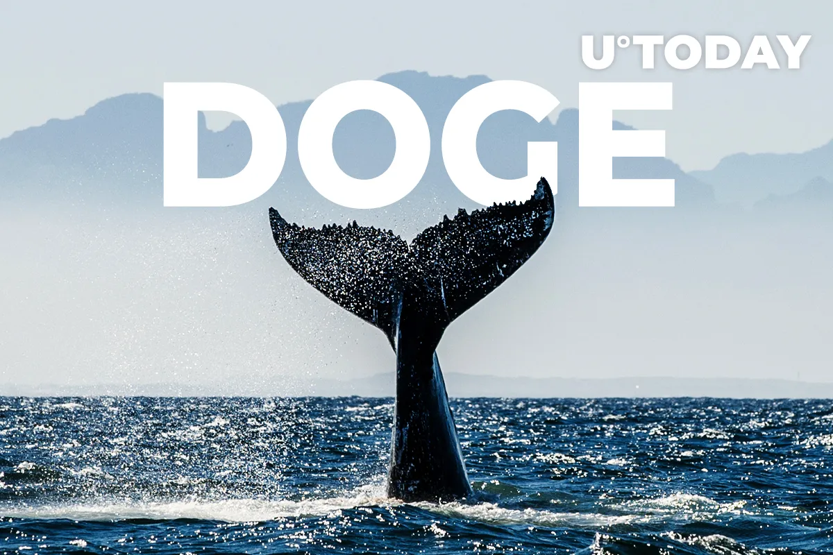 Trader Unveils Sensational Theory About Most Powerful DOGE Whale